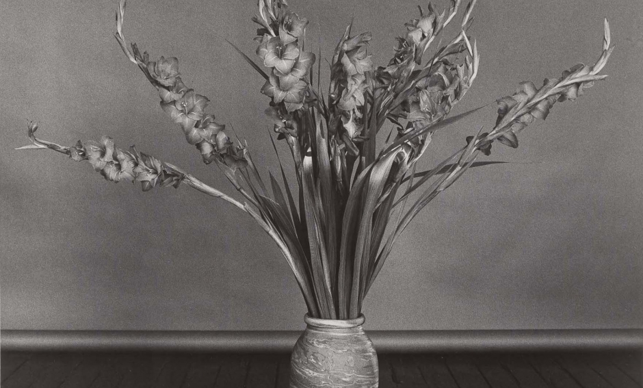 Robert Mapplethorpe, Gladioli, 1979 Robert Mapplethorpe, Gladioli, 1979