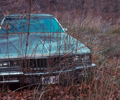 Kourtney Roy, Untitled (Northern Noir)