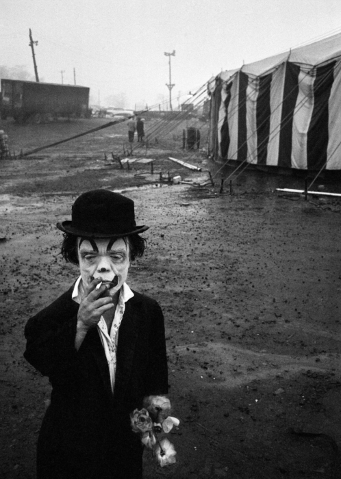 Bruce Davidson, The Dwarf Bruce Davidson, The Dwarf