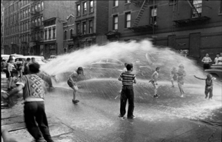 Elliott Erwitt Elliott Erwitt