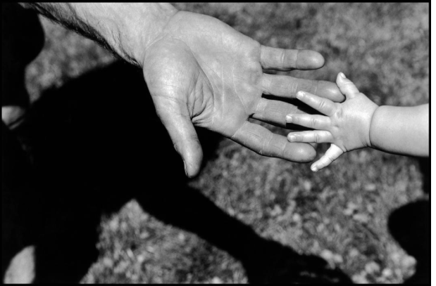 Elliott Erwitt Elliott Erwitt