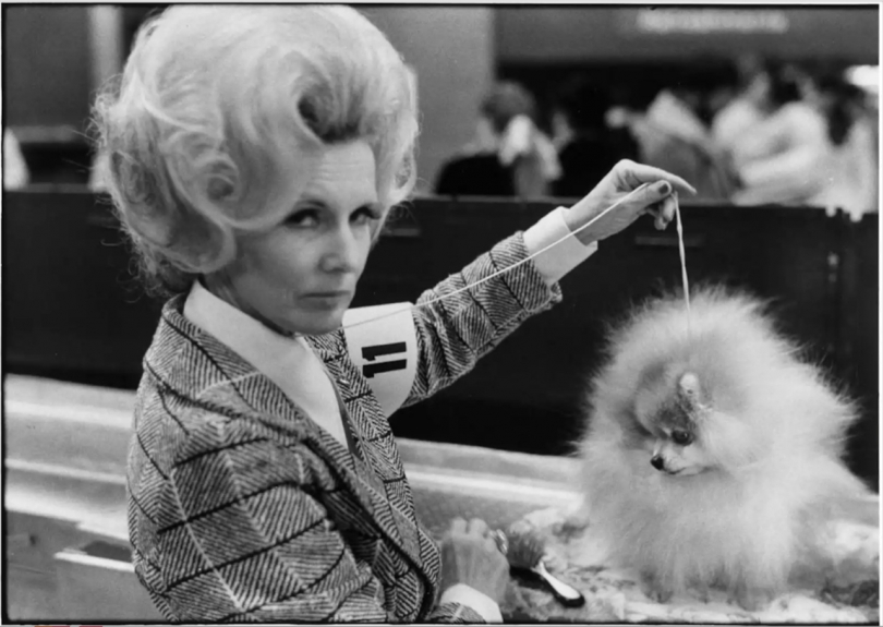 Elliott Erwitt, New York City, 1973 Elliott Erwitt, New York City, 1973