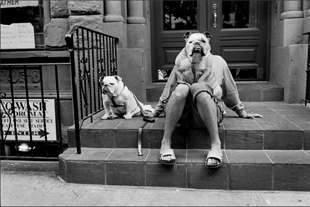 Elliott Erwitt, New York City Elliott Erwitt, New York City