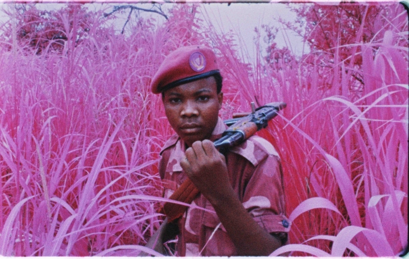 Richard Mosse, Venice Questionnaire 5 Richard Mosse, Venice Questionnaire 5