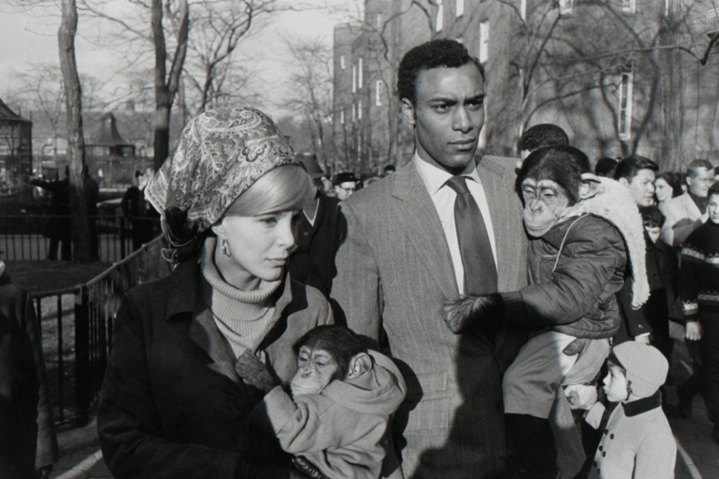 Garry Winogrand, Central Park Zoo Garry Winogrand, Central Park Zoo